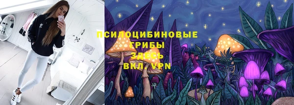 2c-b Алексин